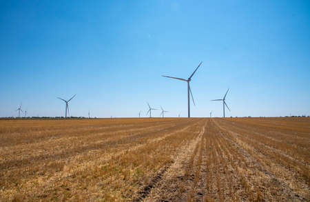 Many wind turbines stand in a mown field against a clear blue sky.の写真素材