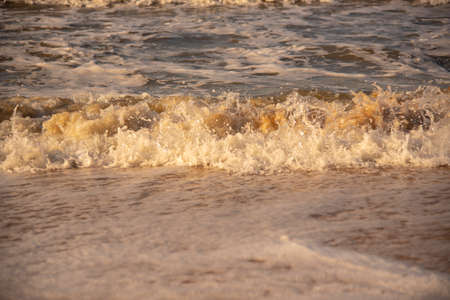 Dirty sea foam rolls with a wave on the sandy beach.の写真素材