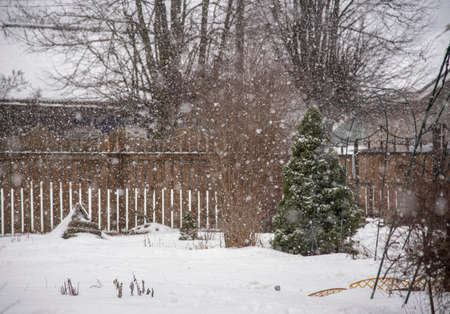 Winter evening landscape. Village yard under heavy snowfall.の写真素材