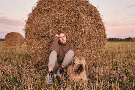 Sad charming girl in a warm sweater with a dog, wheat soft-haired Irish Terrier, sitting by a haystack at sunset.の写真素材