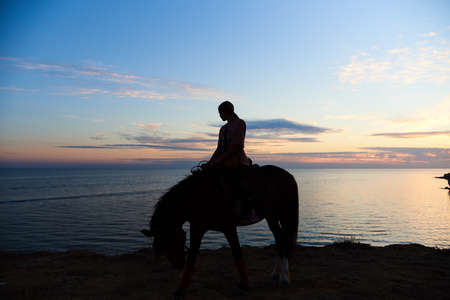 Silhouette of a girl on a horse against the background of the gentle sunset sky.の写真素材