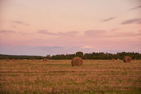Sunset over a mown field with haystacks. Evening autumn landscape.の写真素材