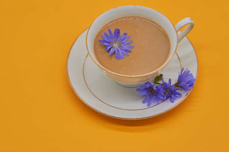 A Cup of chicory drink stands on a saucer on a yellow background, several chicory flowers are lying next to it.の写真素材