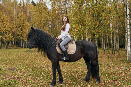 A graceful young girl sits on a Bay horse with a thick mane against the background of an autumn forest.の写真素材