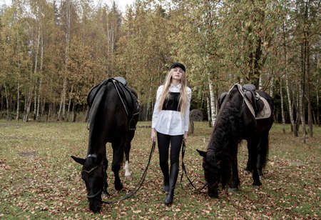 A young slender girl with blonde hair leads two horses on a cloudy autumn day.の写真素材