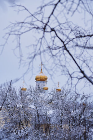 The Golden domes of the white Church against the overcast sky are photographed through the branches...