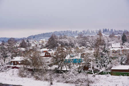 snow-covered village with bright wooden houses on the background of the forest and overcast sky.の写真素材