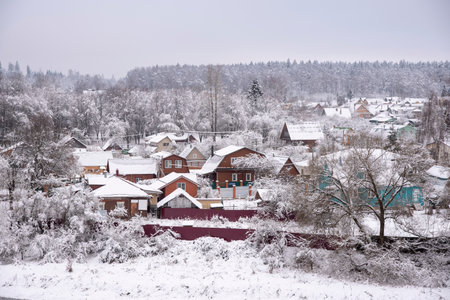 snow-covered village with bright wooden houses on the background of the forest and overcast sky.の写真素材
