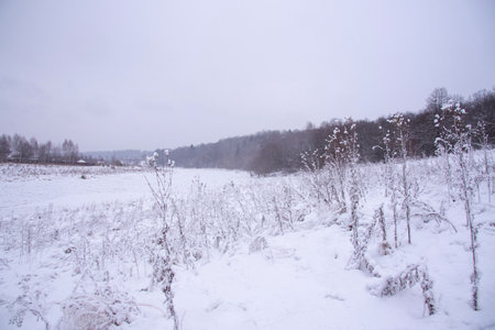 A snow-covered Bank of an icy river against a dark forest and overcast sky.の写真素材