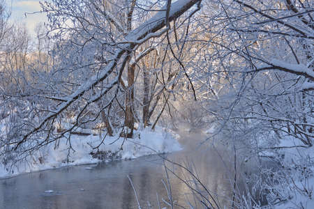 Winter frosty landscape. A small river flows between snow-covered trees on a clear winter day.の写真素材