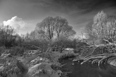 Black and white winter landscape. The river flows among the snow-covered banks.の写真素材