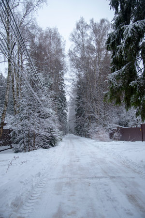 An empty snow-covered country road among the trees . Cloudy winter landscape.の写真素材