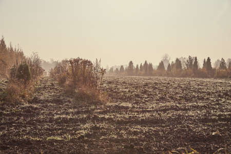 Early cloudy autumn morning. Morning dew on the mown grass in the field.の写真素材