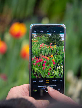 Russia, Moscow, February 2021. An elderly woman takes photos of bright spring flowers on her mobile...