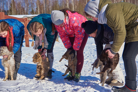 Russia, Moscow region, March 2021. Several teenage girls stand on the white snow and hold fluffy cats.のeditorial素材