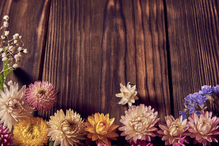 Bright flowers are framed on a dark wooden background. Copy space for text, design.の写真素材