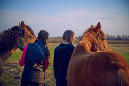 Two teenage girls with braided pigtails stand with their backs to the camera and hold the reins of young horses.の写真素材