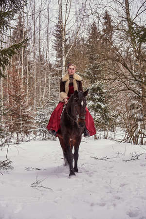 A girl in a beautiful old-fashioned burgundy dress on a horse in a winter forest.の写真素材