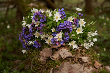 A bright bouquet of forest spring flowers on a fallen tree in the forest.の写真素材