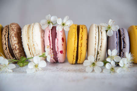 Several colorful macaroon cakes decorated with cherry blossoms on a gray background. Food background, design, copy space for text.の写真素材