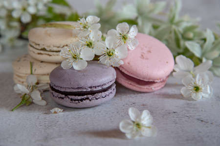 Several colorful macaroon cakes decorated with cherry blossoms on a gray background. Food background, design, copy space for text.の写真素材