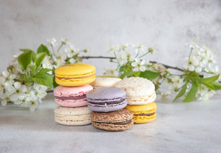 Several colorful macaroon cakes decorated with cherry blossoms on a gray background. Food background, design, copy space for text.の写真素材