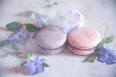 Several macaroons lie on the table decorated with flowers. Food backgrounds, copy space for text, design.The photo is in a light haze, made through a translucent fabric.の写真素材