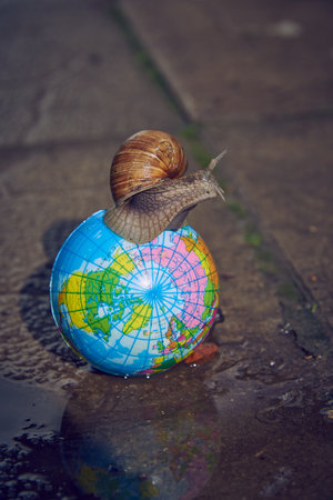 A large snail on a small globe on the background of asphalt.の写真素材