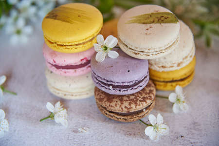 Several colorful macaroon cakes decorated with cherry blossoms on a gray background. Food background, design, copy space for text.の写真素材