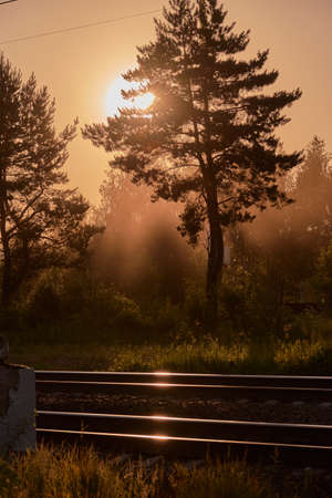 Railway in the forest under the rays of the setting sun. Photo in a sunny haze.の写真素材