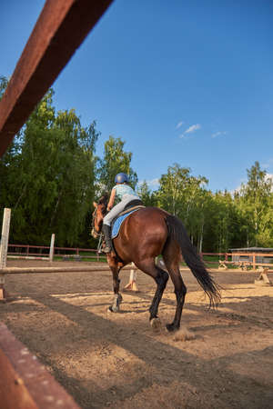 A girl rider on a horse jumps over an obstacle. Equestrian competitions.の写真素材