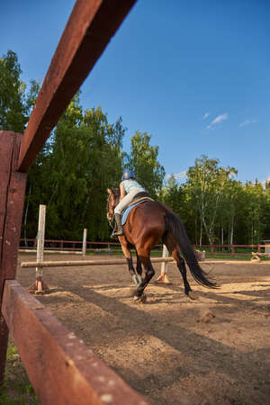 A girl rider on a horse jumps over an obstacle. Equestrian competitions.の写真素材