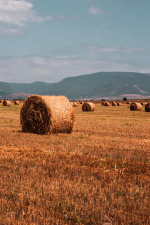 Rolled-up hay in a meadow against the background of mountains. A beautiful landscape with hay at the end of summer.の写真素材