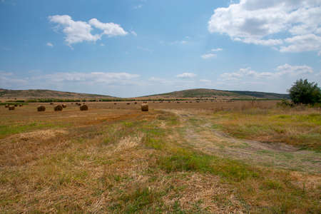 Rolled-up hay in a meadow against the background of mountains. A beautiful landscape with hay at the end of summer.の写真素材