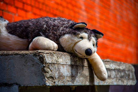 A huge toy dog is lying against a brick wall on the street. An abandoned stuffed toy.の写真素材