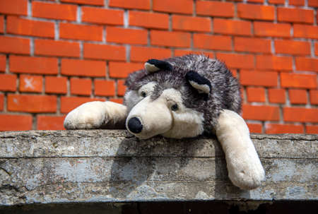 A huge toy dog is lying against a brick wall on the street. An abandoned stuffed toy.の写真素材