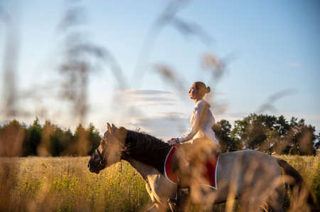 A girl in a white shirt rides a horse on a field. The photo was taken through the grass.の写真素材