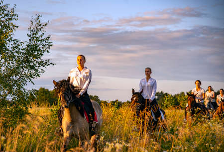 Russia, Ruza, August 2021. Girls in white shirts are riding horses on a blooming meadow in the rays of the setting sun.のeditorial素材