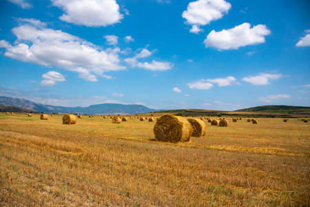 Rolled-up hay in a meadow against the background of mountains. A beautiful landscape with hay at the end of summer.の写真素材