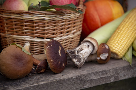 Autumn harvest. Bright pumpkins and apples, corn, mushrooms on the wooden surface. Focus on mushrooms.の写真素材