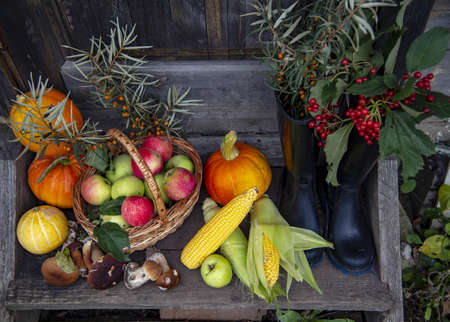 Autumn harvest. Bright fresh fruits, vegetables and berries are lying on the wooden porch. There are rubber boots nearby.の写真素材