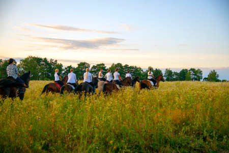 Moscow region, Ruza, August 2021. A group of girls on horses gallops through the meadows with their backs to the camera.のeditorial素材