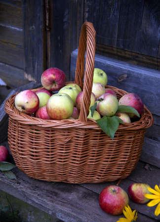 A wicker basket with rosy apples on a wooden porch surrounded by flowers. Rustic background.の写真素材