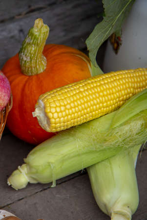 Bright pumpkin and ears of ripe corn on a wooden background. Autumn harvest.の写真素材