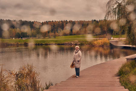 Shooting through wet glass. An elderly woman walks in an autumn park on a cloudy day.の写真素材