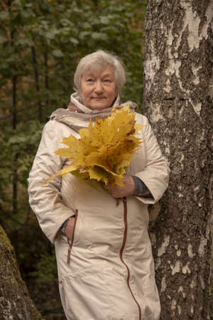 An elderly gray-haired woman in a light jacket is walking in the park with a bouquet of leaves.の写真素材