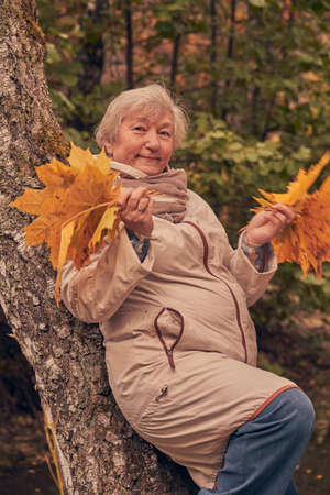 An elderly gray-haired woman in a light jacket is walking in the park with a bouquet of leaves.の写真素材