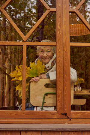 The photo was taken through a window in which trees are reflected. An elderly woman is sitting at the window with a bouquet of yellow maple leaves.の写真素材