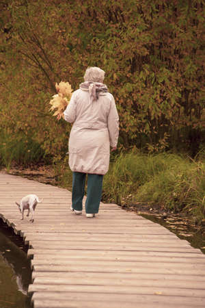 An elderly woman with a bouquet of yellow maple leaves, dressed in a light jacket, walks on a wooden deck over a pond in an autumn park.の写真素材