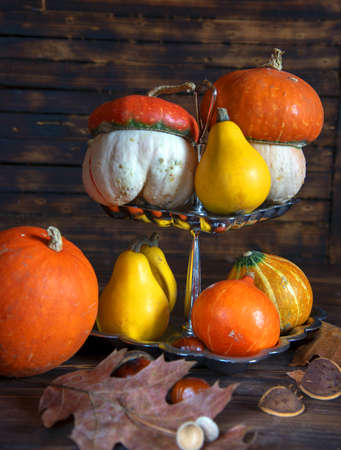 Pumpkins of different shapes, colors and sizes on a silver stand on a wooden background. Autumn still life.の写真素材